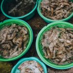 indonesia-shrimp-farming